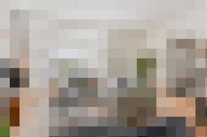 Breitnerlaan 126 Den Haag thumbnail 5