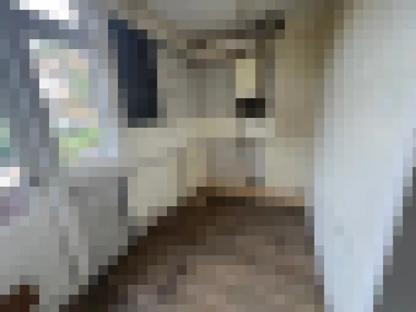 Breitnerlaan 134 Den Haag thumbnail 6