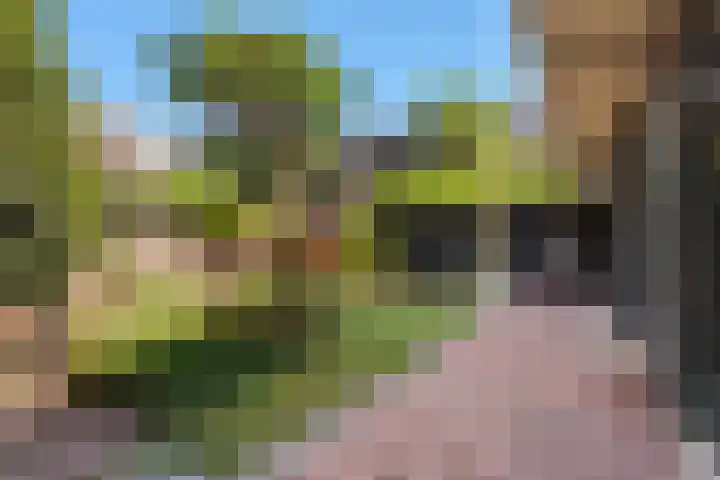 Breitnerlaan 136 Den Haag thumbnail 15