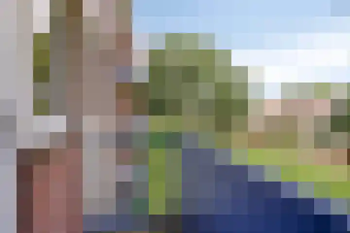 Breitnerlaan 16 B Roosendaal thumbnail 18