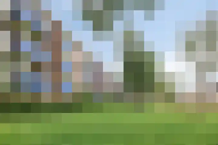 Breitnerlaan 16 B Roosendaal thumbnail 21