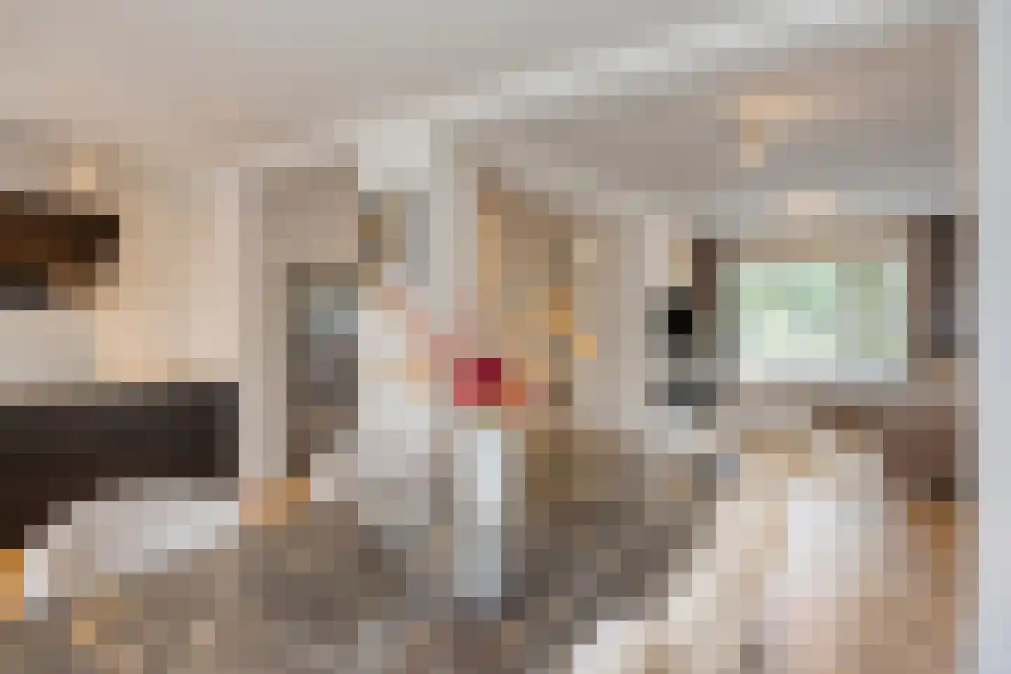 Breitnerlaan 2 Helmond thumbnail 20