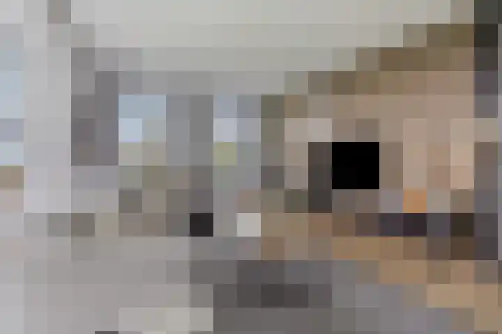 Breitnerlaan 2 Veendam thumbnail 13