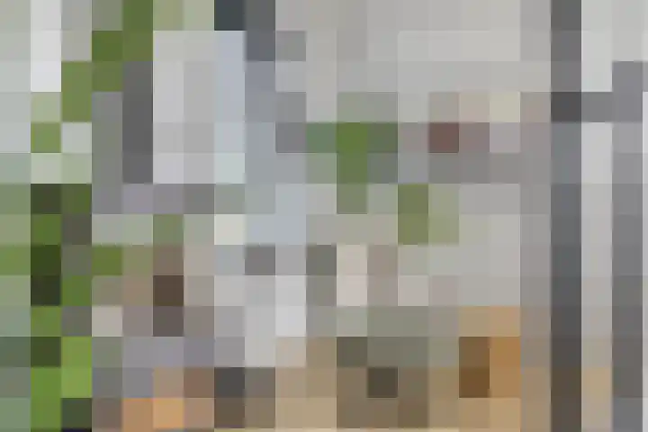 Breitnerlaan 2 Veendam thumbnail 20