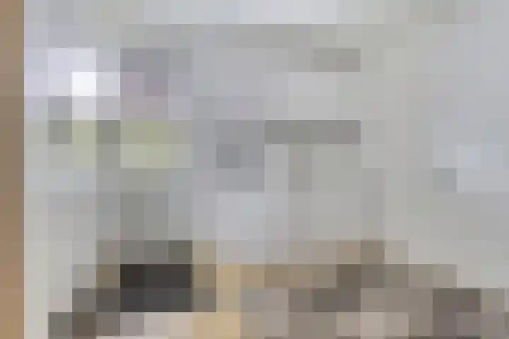 Breitnerlaan 2 Veendam thumbnail 33