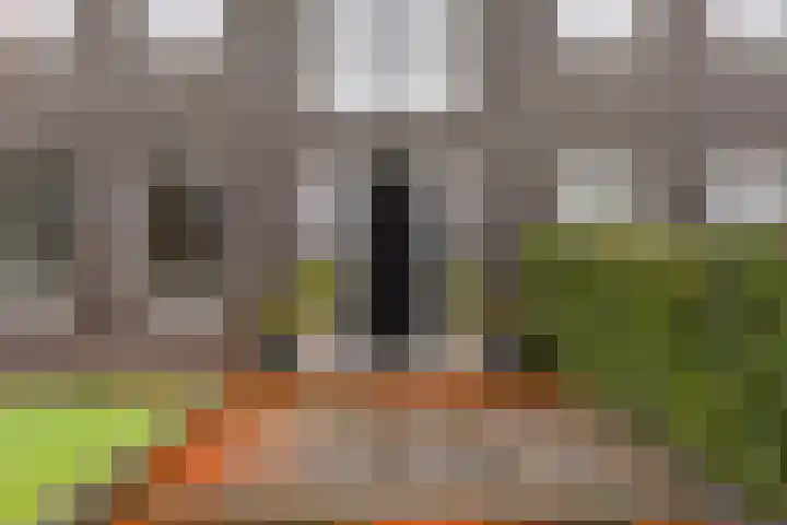 Breitnerlaan 2 Veendam thumbnail 4