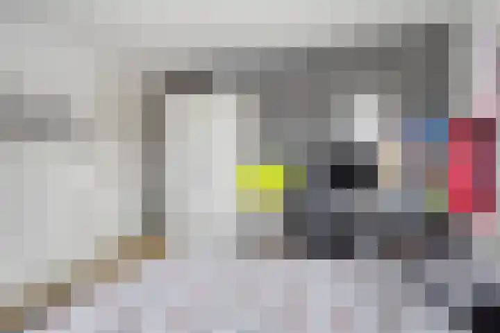 Breitnerlaan 2 Veendam thumbnail 53