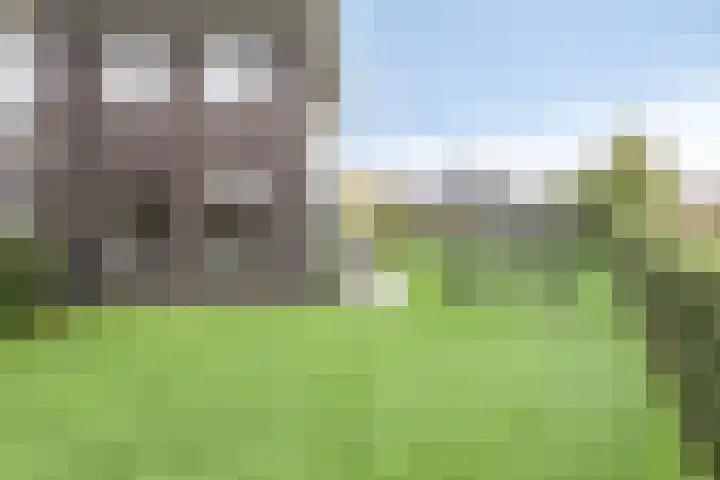 Breitnerlaan 2 Veendam thumbnail 65