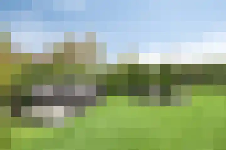 Breitnerlaan 2 Veendam thumbnail 69