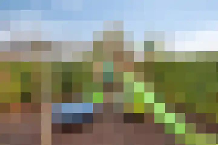 Breitnerlaan 2 Veendam thumbnail 78