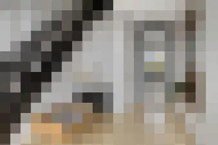 Breitnerlaan 2 Veendam thumbnail 8