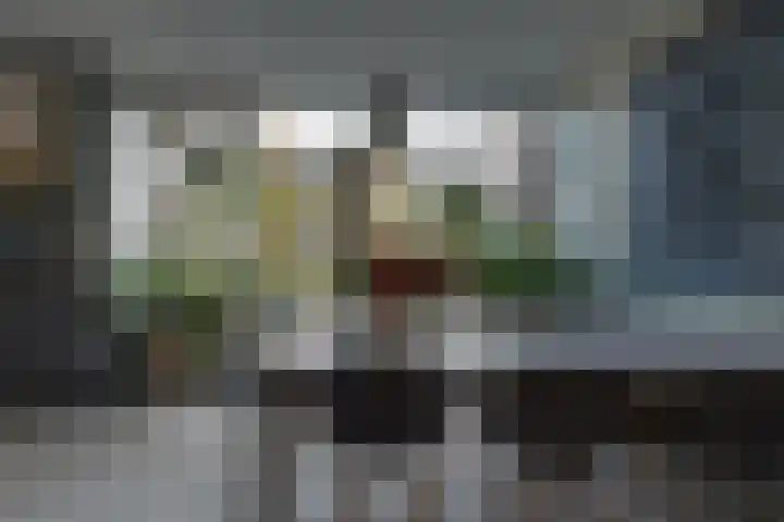 Breitnerlaan 20 Heerhugowaard thumbnail 15