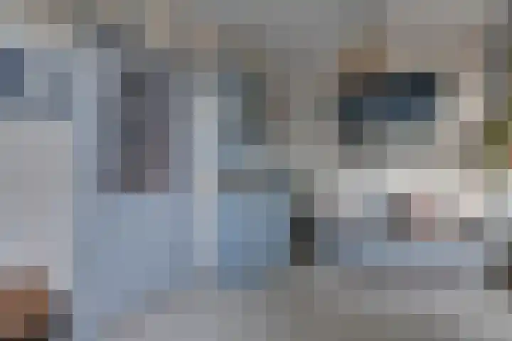 Breitnerlaan 20 Heerhugowaard thumbnail 17
