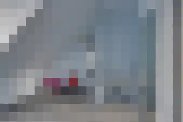 Breitnerlaan 20 Heerhugowaard thumbnail 29