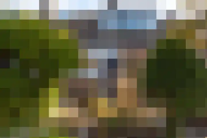 Breitnerlaan 20 Heerhugowaard thumbnail 4