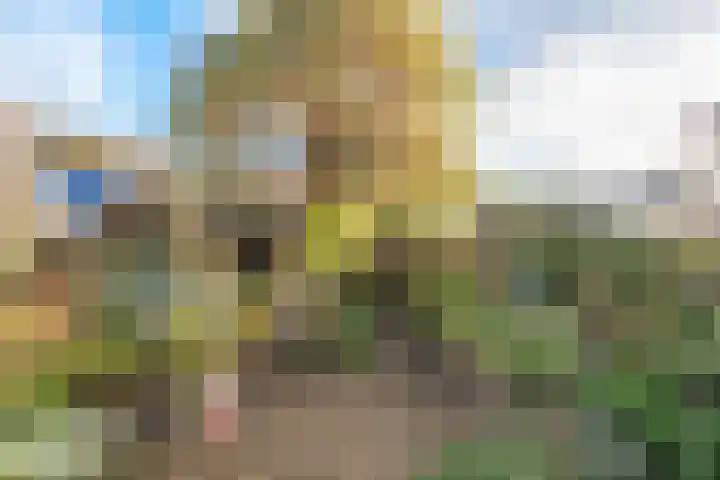 Breitnerlaan 20 Heerhugowaard thumbnail 49