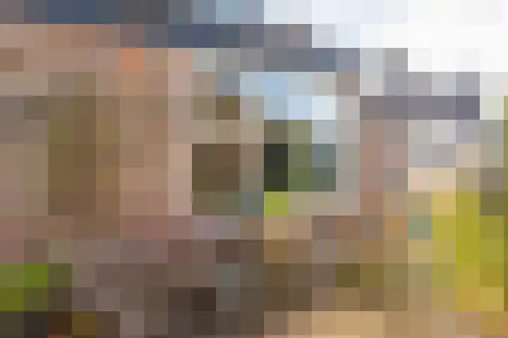 Breitnerlaan 20 Heerhugowaard thumbnail 5