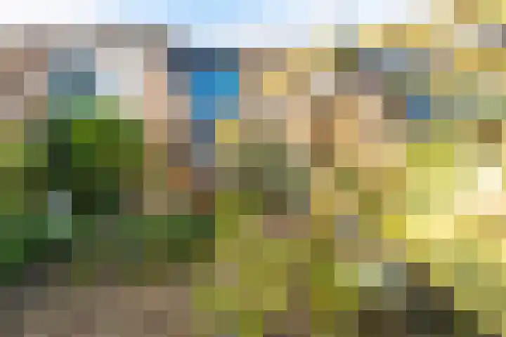 Breitnerlaan 20 Heerhugowaard thumbnail 54