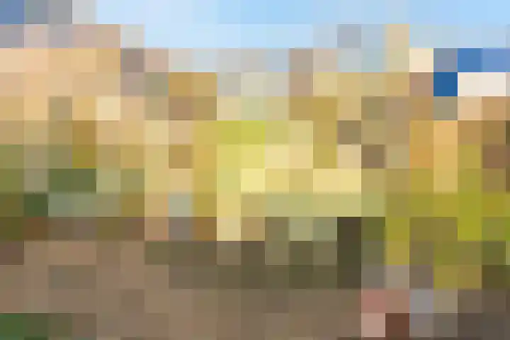 Breitnerlaan 20 Heerhugowaard thumbnail 55