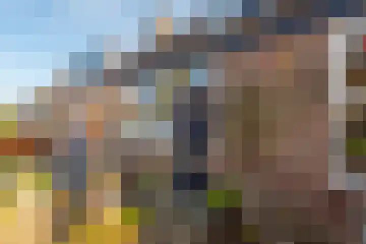 Breitnerlaan 20 Heerhugowaard thumbnail 6