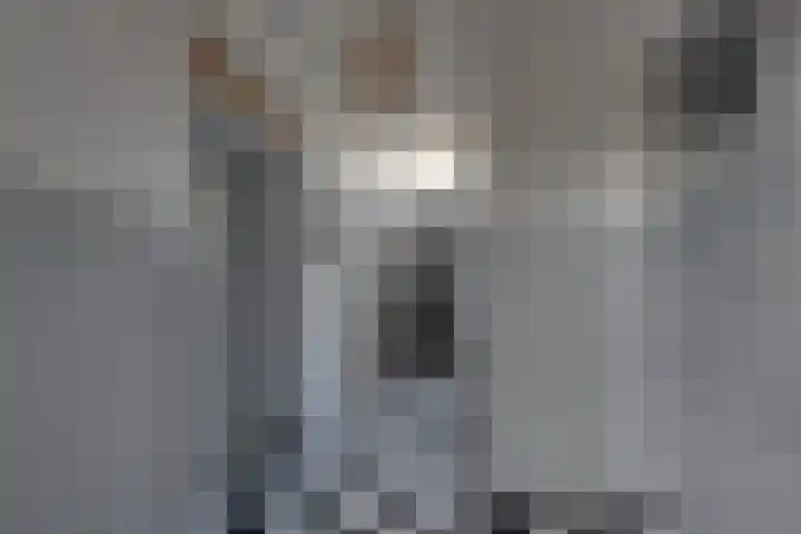 Breitnerlaan 20 Heerhugowaard thumbnail 7