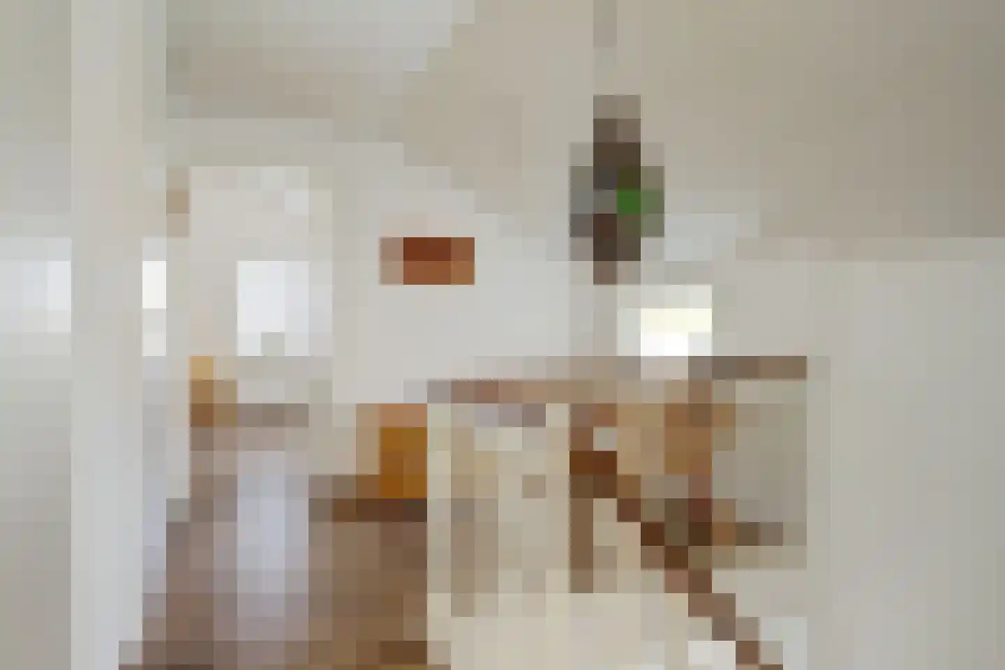 Breitnerlaan 3 Heerhugowaard thumbnail 26