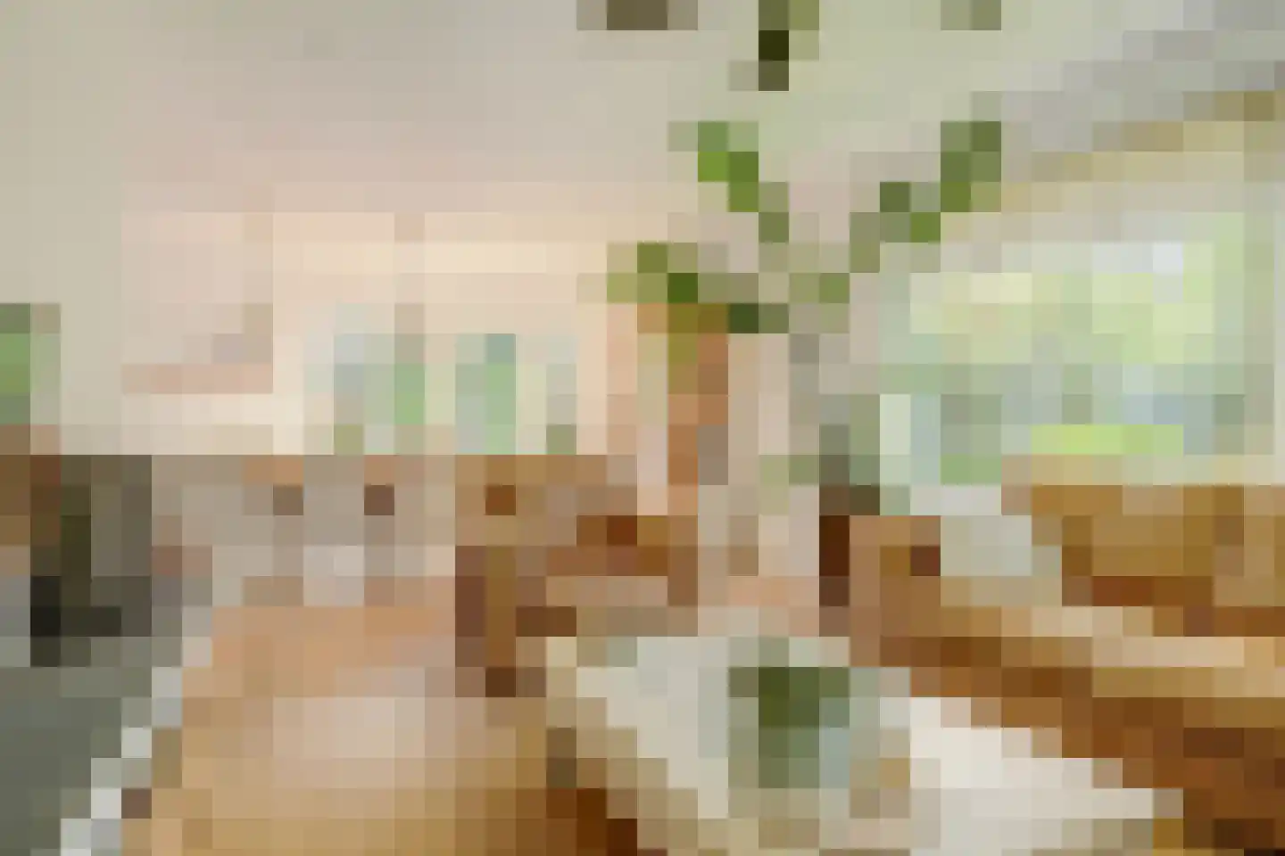 Breitnerlaan 3 Heerhugowaard thumbnail 8