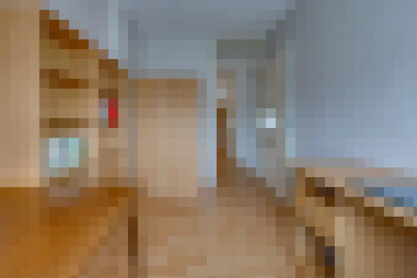 Breitnerlaan 3 Musselkanaal thumbnail 27