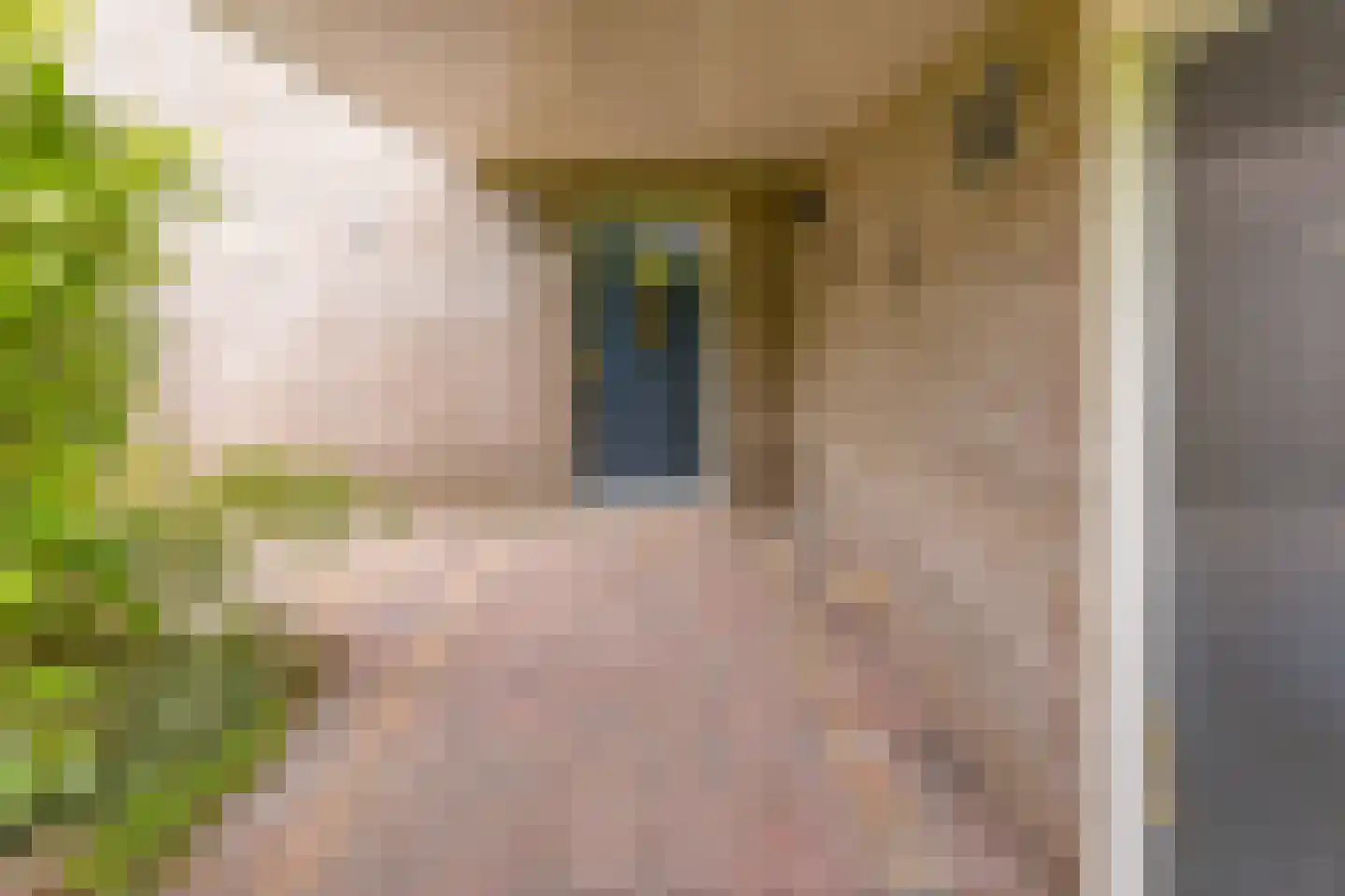 Breitnerlaan 3 Musselkanaal thumbnail 31
