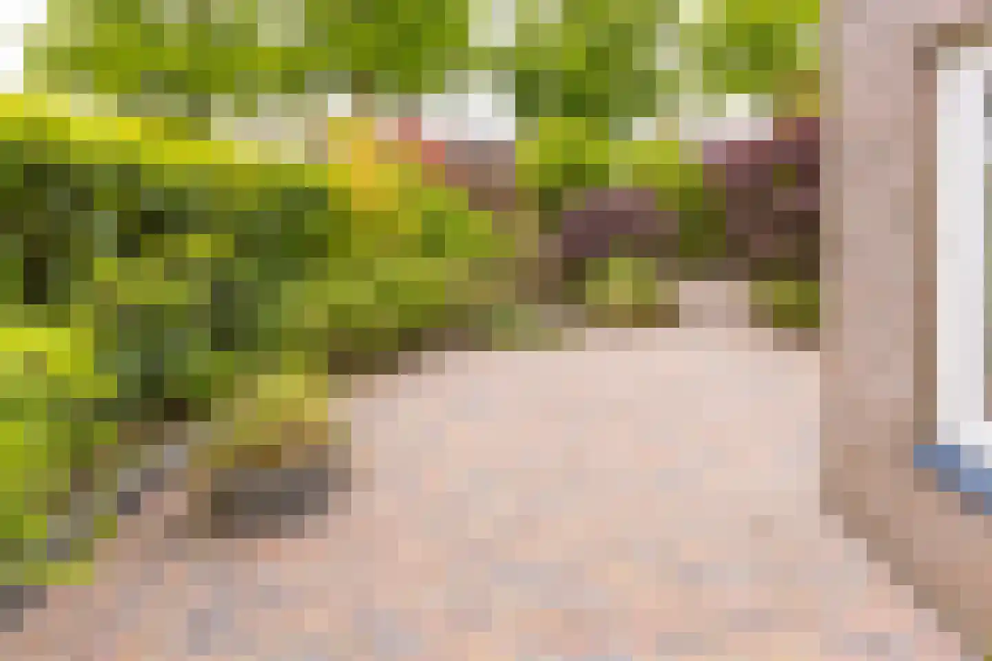Breitnerlaan 3 Musselkanaal thumbnail 32