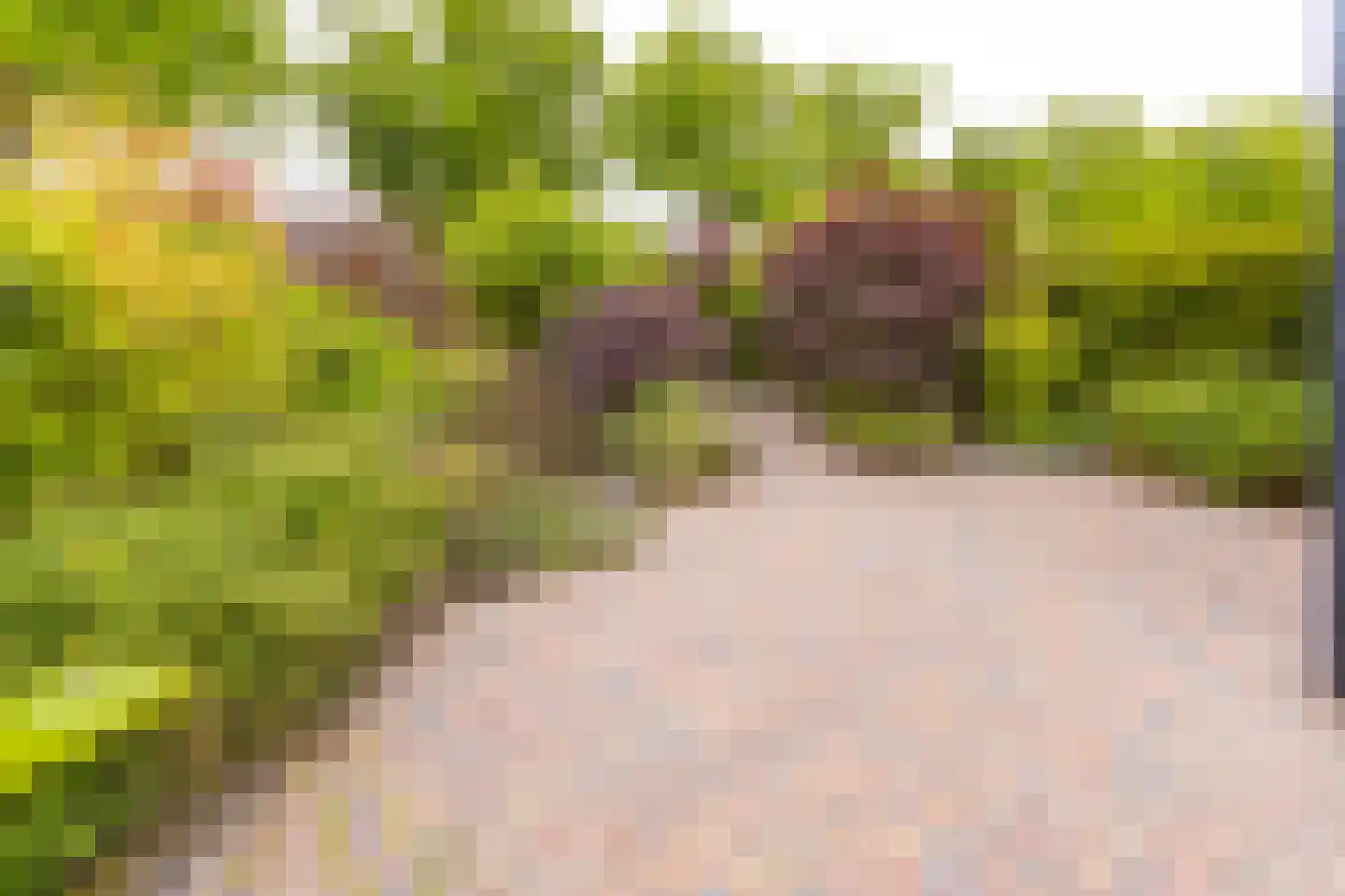 Breitnerlaan 3 Musselkanaal thumbnail 33