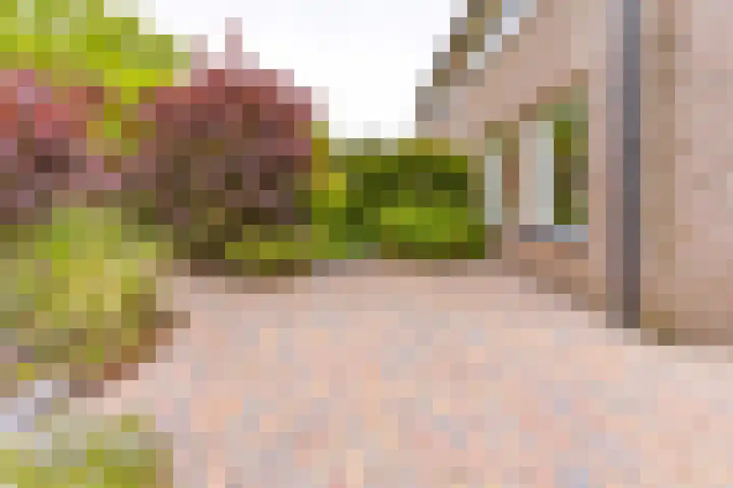 Breitnerlaan 3 Musselkanaal thumbnail 35