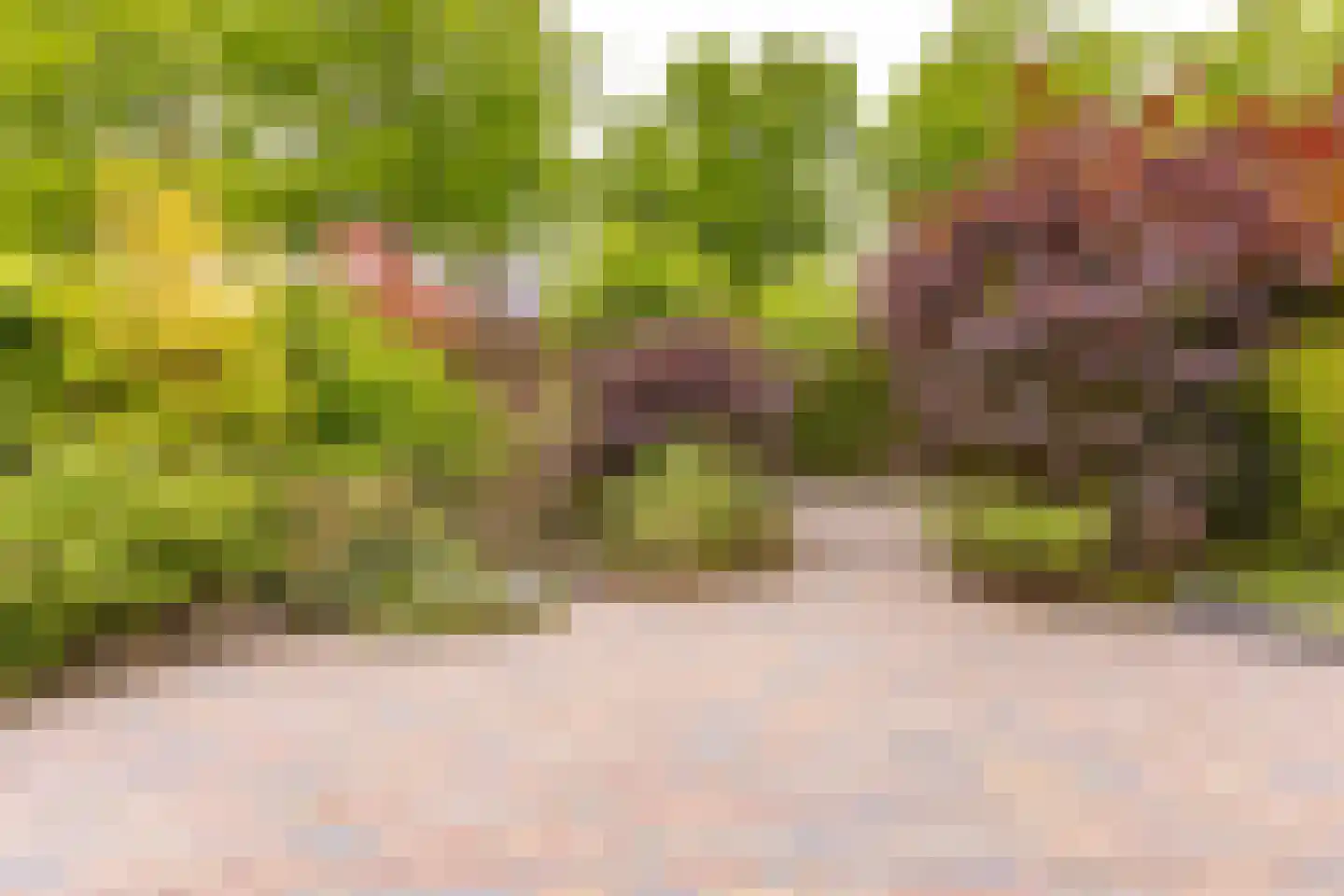 Breitnerlaan 3 Musselkanaal thumbnail 36
