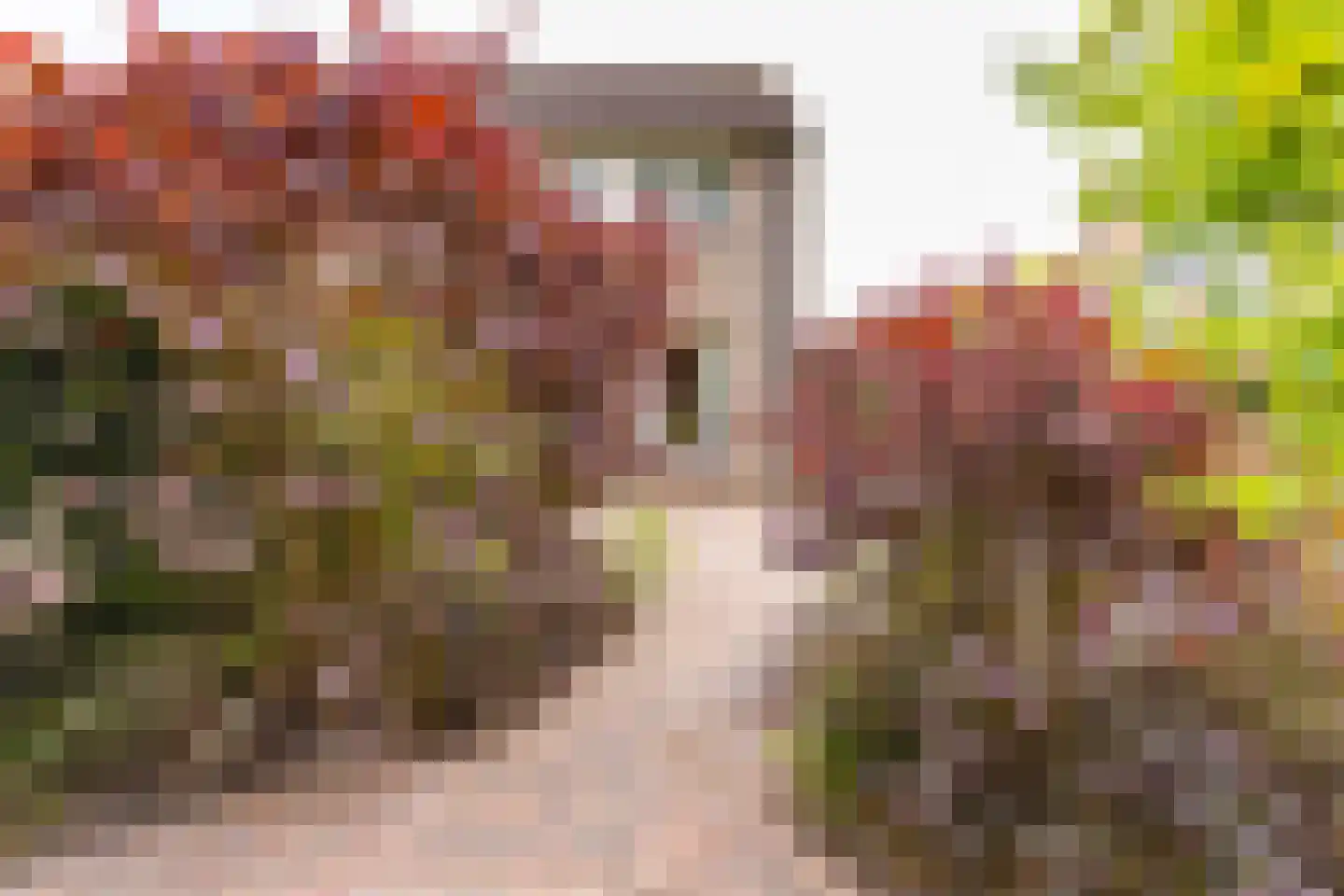Breitnerlaan 3 Musselkanaal thumbnail 38