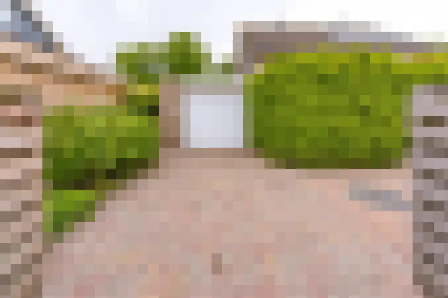 Breitnerlaan 3 Musselkanaal thumbnail 5