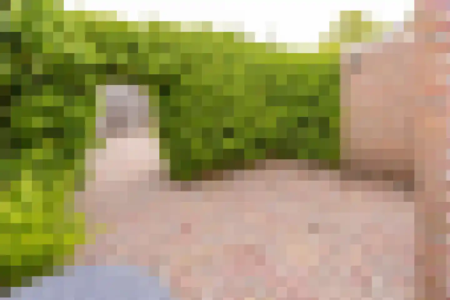Breitnerlaan 3 Musselkanaal thumbnail 8