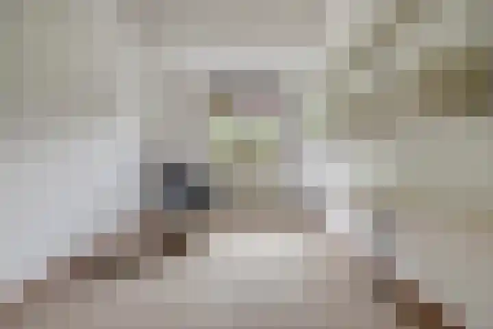 Breitnerlaan 33 Oosterhout thumbnail 23