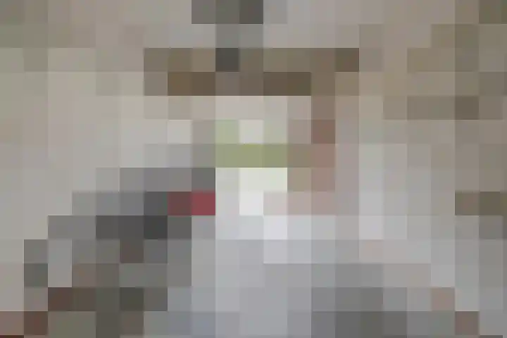 Breitnerlaan 33 Oosterhout thumbnail 24