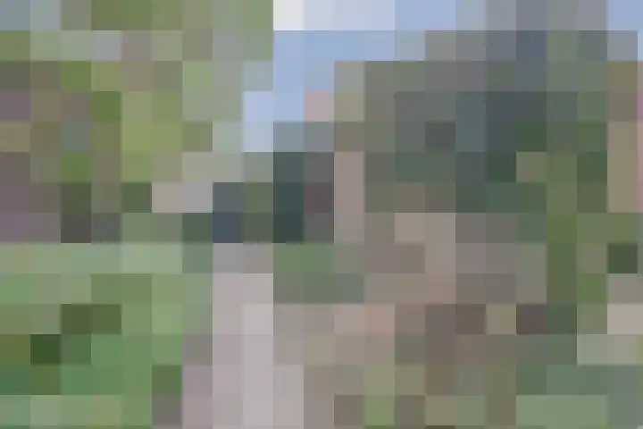 Breitnerlaan 33 Oosterhout thumbnail 27