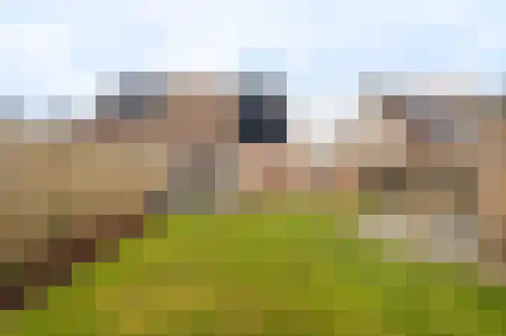 Breitnerlaan 4 Musselkanaal thumbnail 10