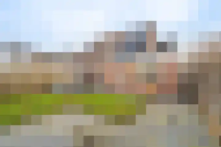 Breitnerlaan 4 Musselkanaal thumbnail 9