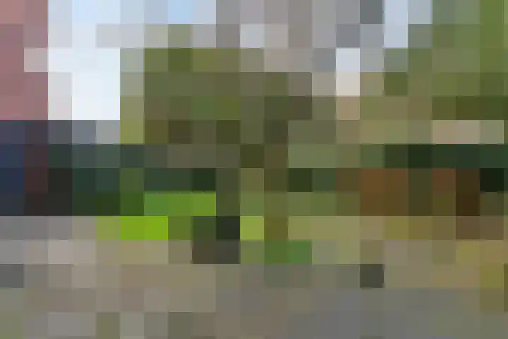 Breitnerlaan 40 Den Haag thumbnail 21