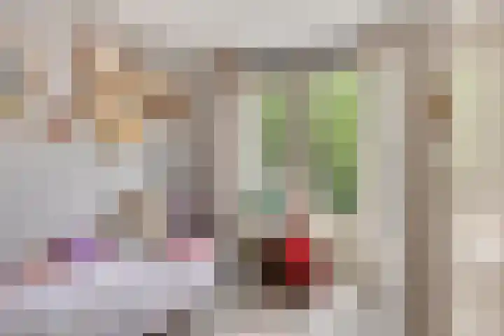 Breitnerlaan 42 Roelofarendsveen thumbnail 13