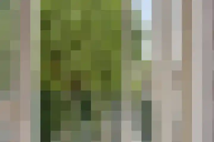 Breitnerlaan 42 Roelofarendsveen thumbnail 14