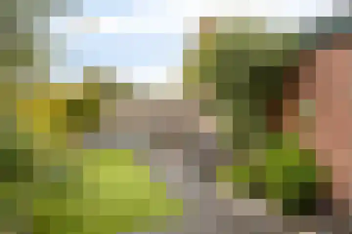 Breitnerlaan 42 Roelofarendsveen thumbnail 21