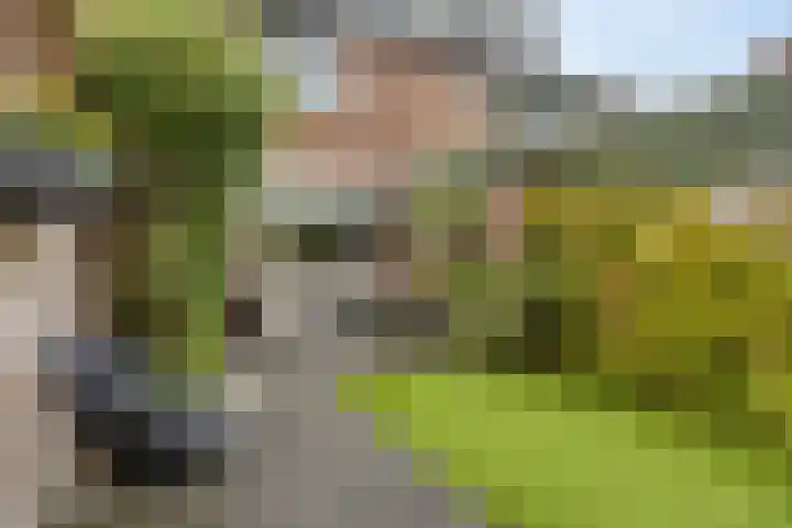 Breitnerlaan 42 Roelofarendsveen thumbnail 22