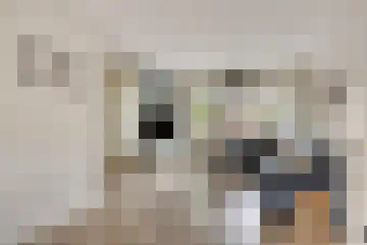 Breitnerlaan 42 Roelofarendsveen thumbnail 4