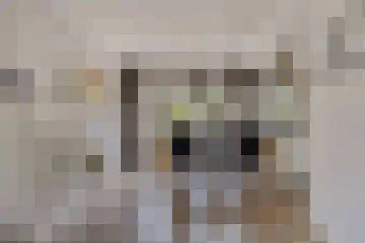 Breitnerlaan 42 Roelofarendsveen thumbnail 6