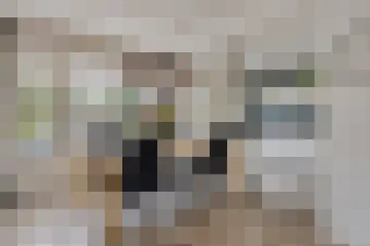 Breitnerlaan 42 Roelofarendsveen thumbnail 7