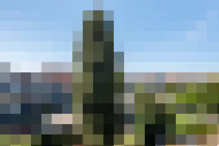 Breitnerlaan 6 Den Haag thumbnail 32
